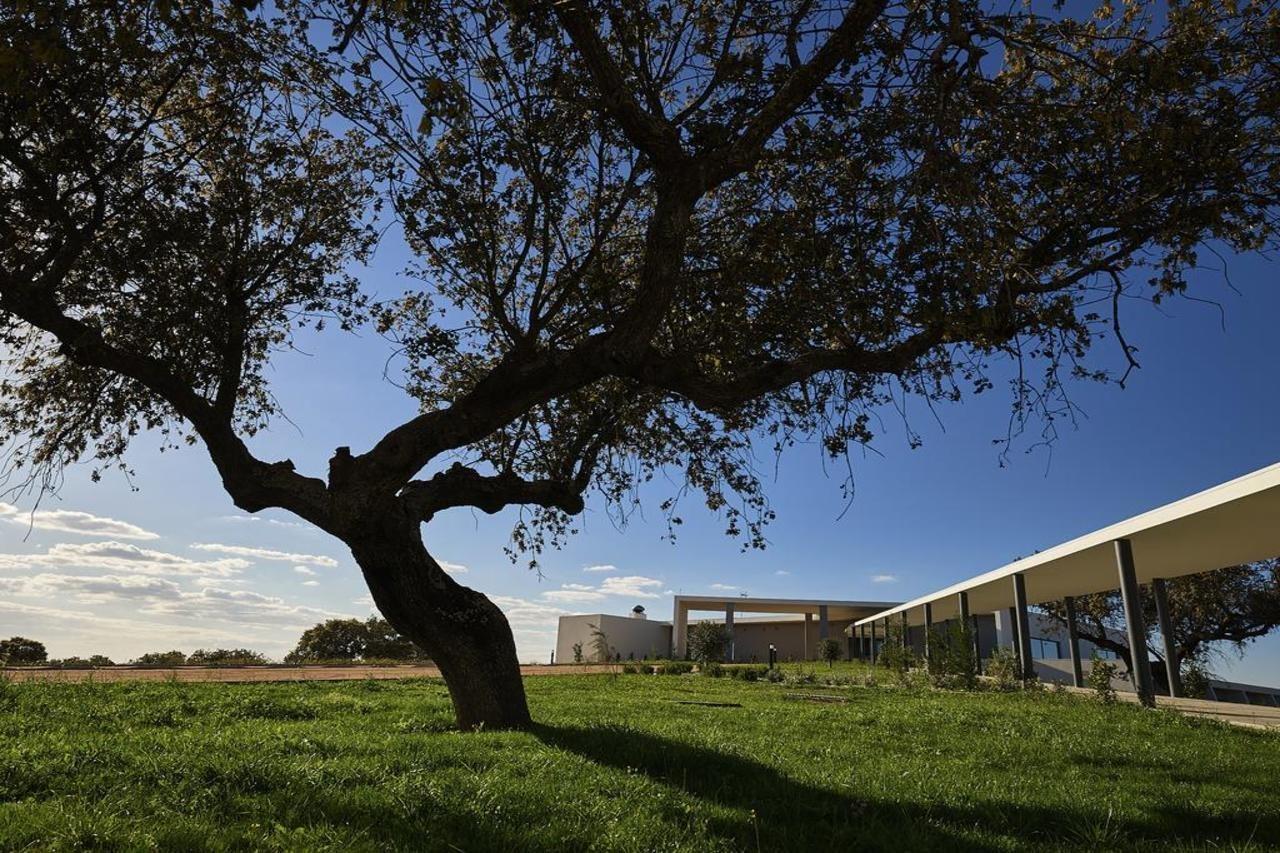 Herdade Dos Delgados Hotel Mourão Exterior foto